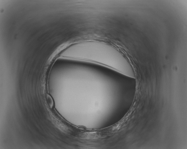 X0000081440054200701120955