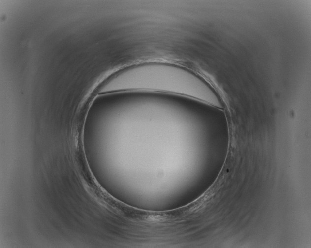 X0000081440060200701120955