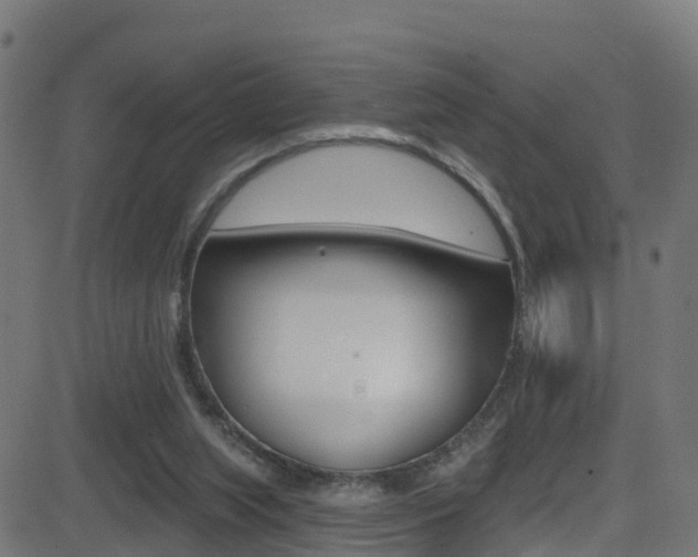 X0000081440063200701120955