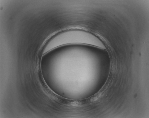 X0000081440064200701120955