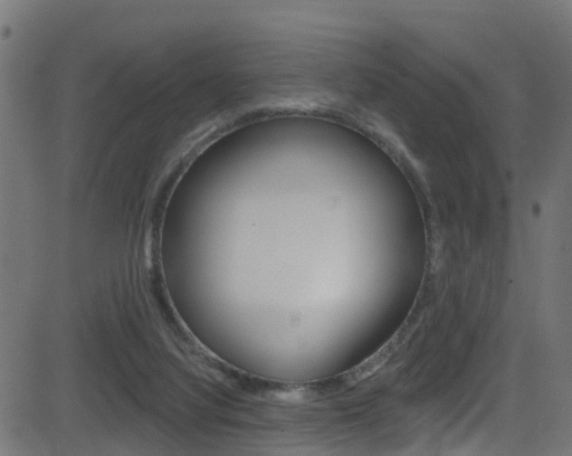 X0000081440068200701120955