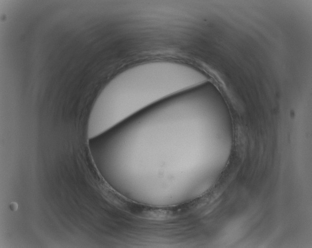 X0000081440069200701120955