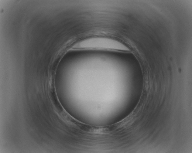 X0000081440072200701120955