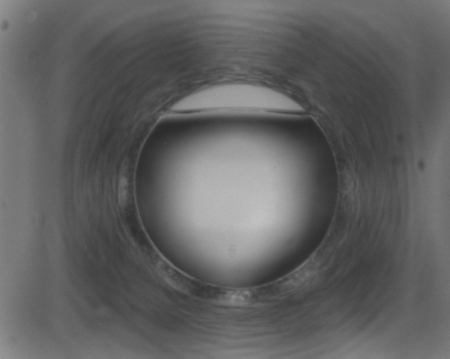X0000081440080200701120955