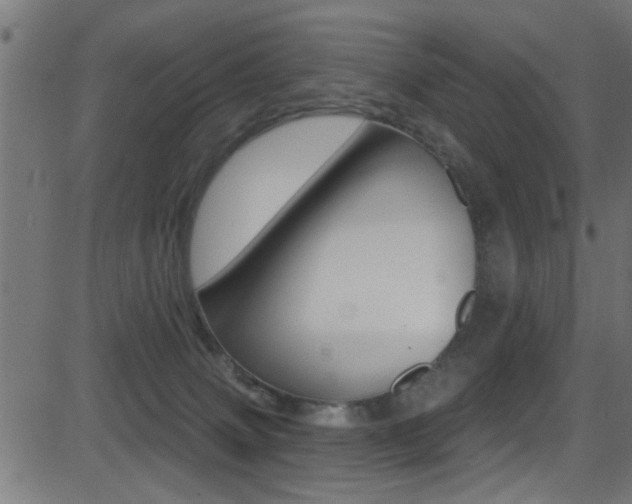 X0000081440083200701120955