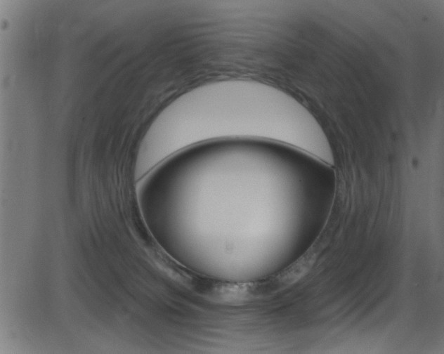 X0000081440084200701120955