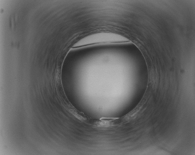 X0000081440092200701120956