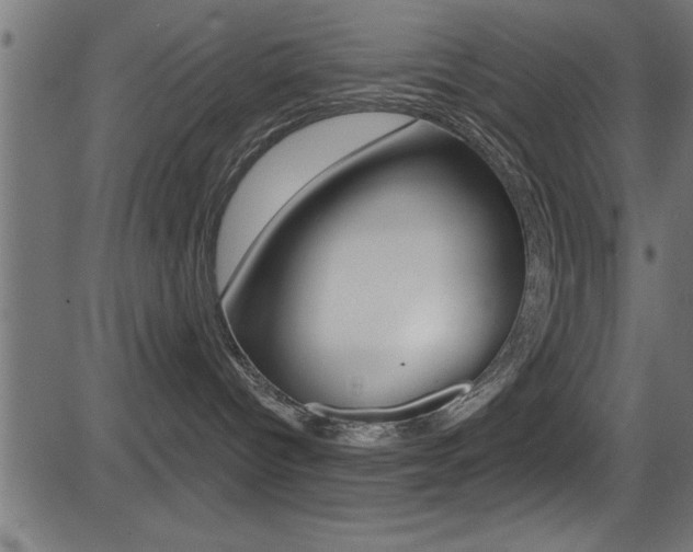 X0000081440096200701120956