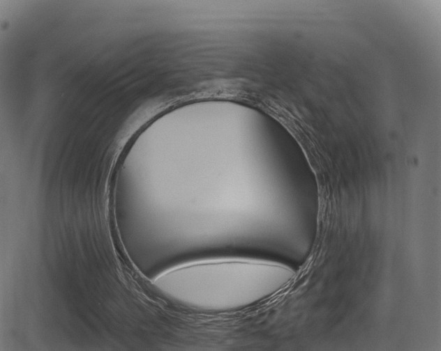 X0000081440100200701120955