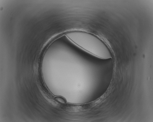 X0000081440108200701120955