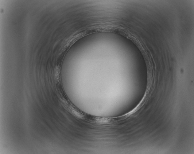 X0000081440144200701120954