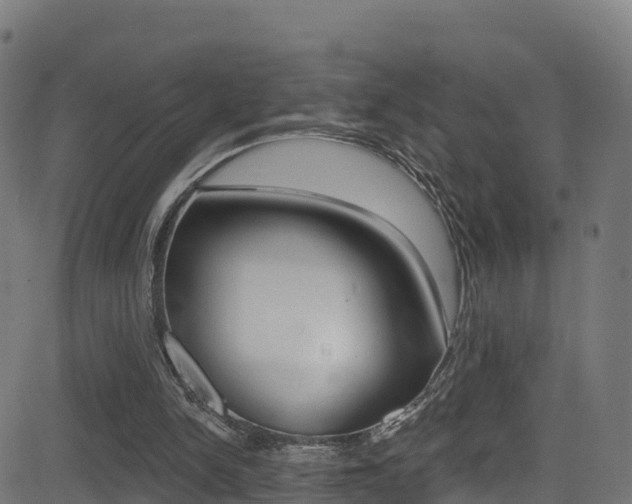 X0000081440150200701120953
