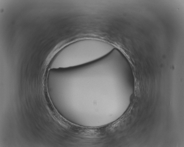 X0000081440151200701120953