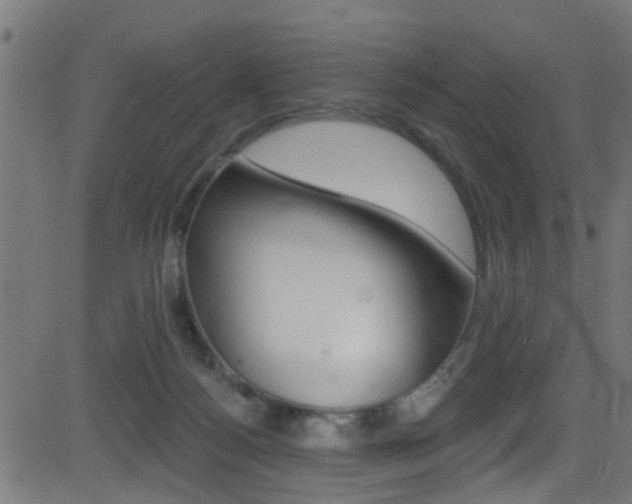 X0000081440172200701120954