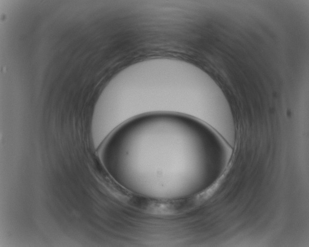 X0000081440174200701120954