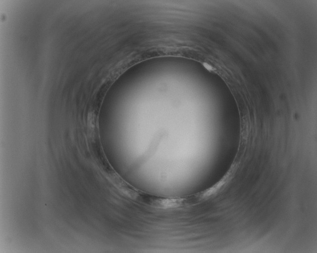 X0000081440184200701120954