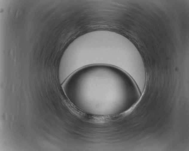 X0000081440190200701120954