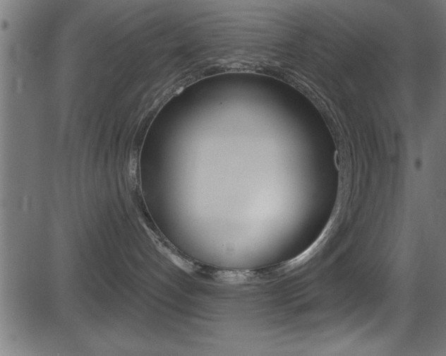 X0000081440192200701120954