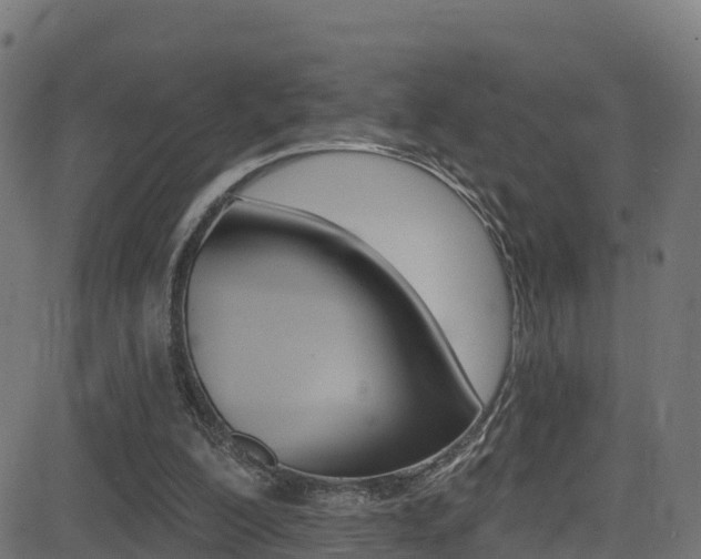 X0000081440200200701120953