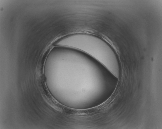 X0000081440203200701120953