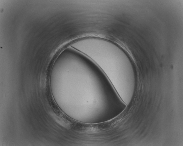 X0000081440204200701120953