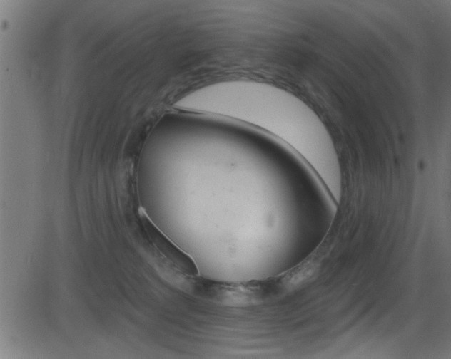 X0000081440229200701120953
