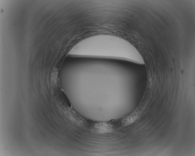 X0000081440231200701120953