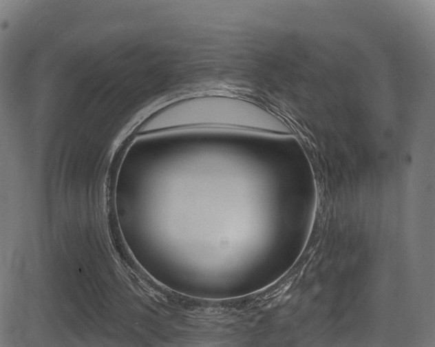 X0000081440244200701120952