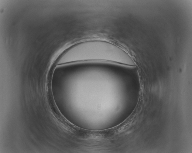 X0000081440248200701120952