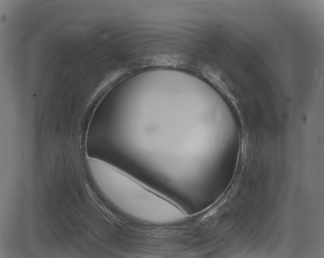 X0000081440249200701120952