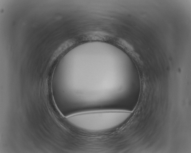 X0000081440250200701120952