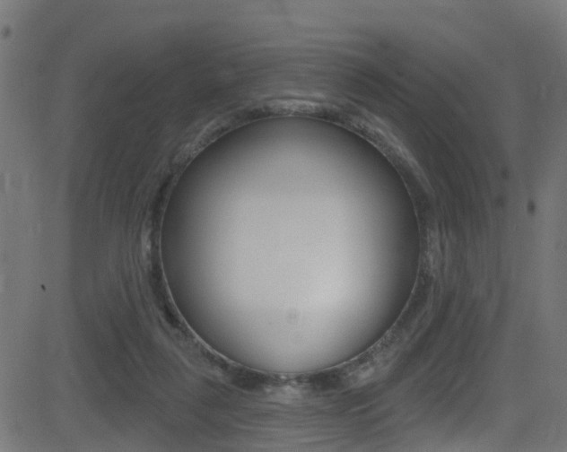 X0000081440259200701120952