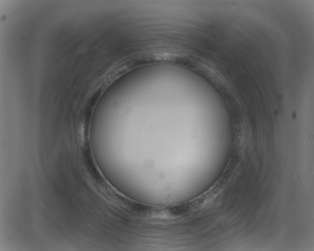 X0000081440262200701120952