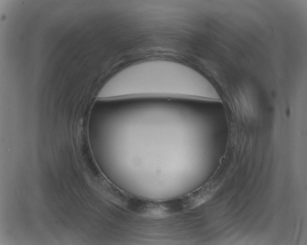 X0000081440263200701120952