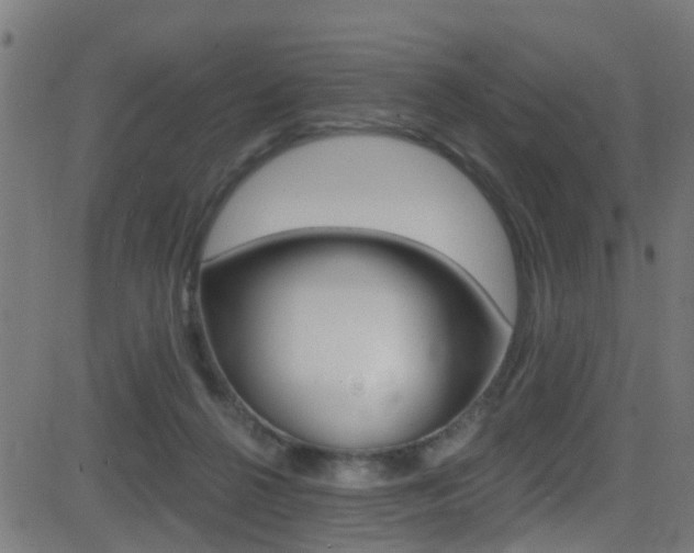 X0000081440264200701120952