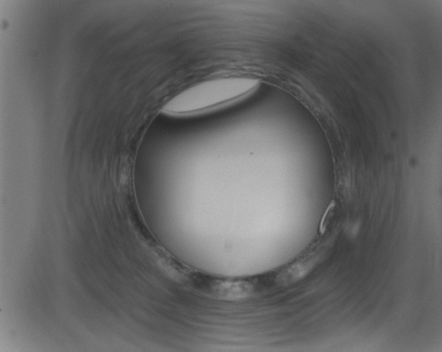 X0000081440277200701120952