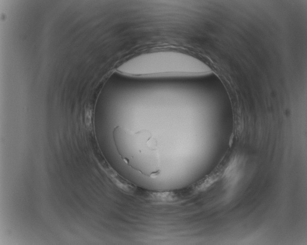 X0000081440281200701120952
