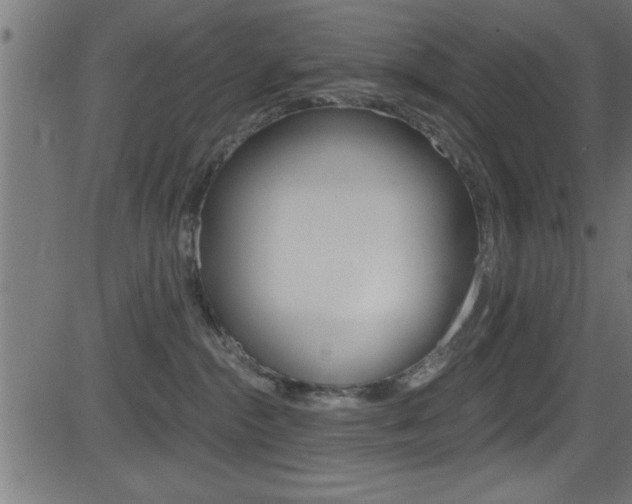 X0000081440284200701120952