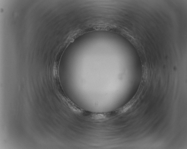 X0000081440287200701120952