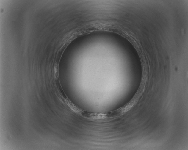 X0000081440288200701120952