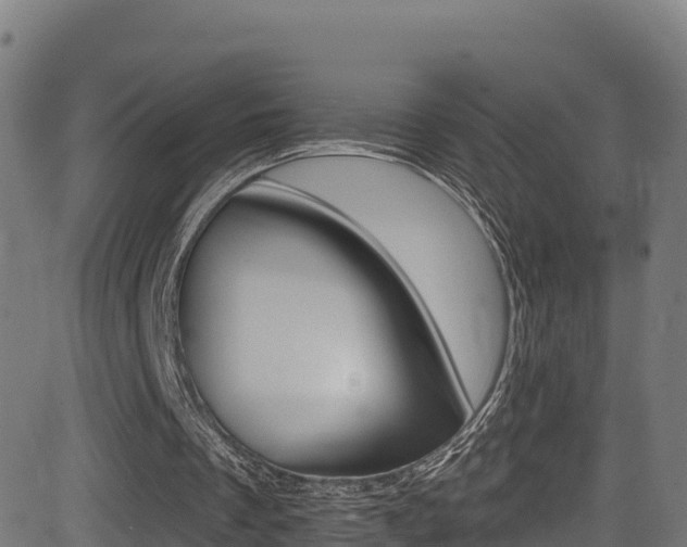 X0000081440289200701120952