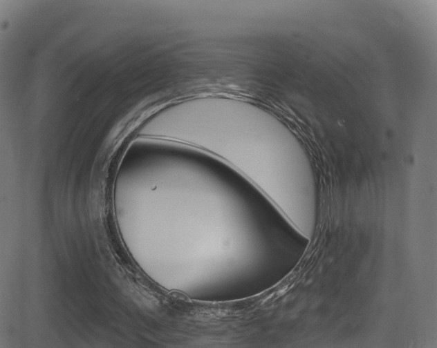 X0000081440291200701120952