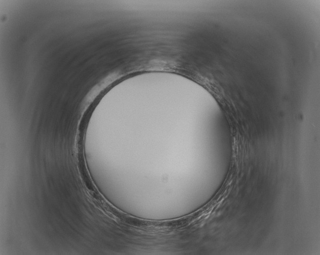 X0000081440292200701120952