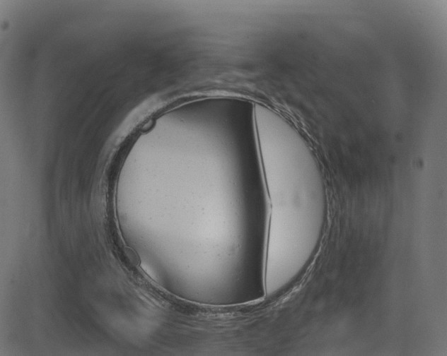 X0000081440295200701120951