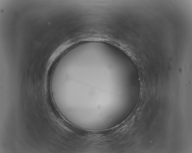 X0000081440296200701120951