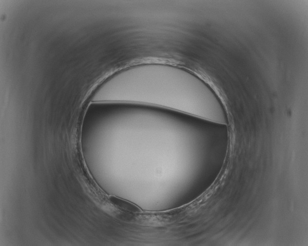 X0000081440297200701120951