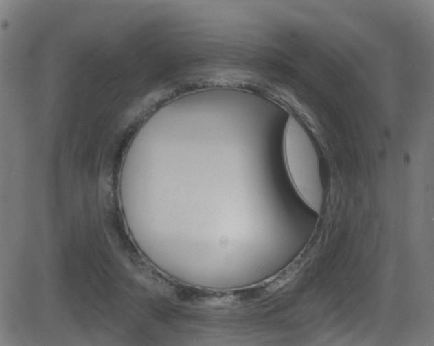 X0000081440306200701120951