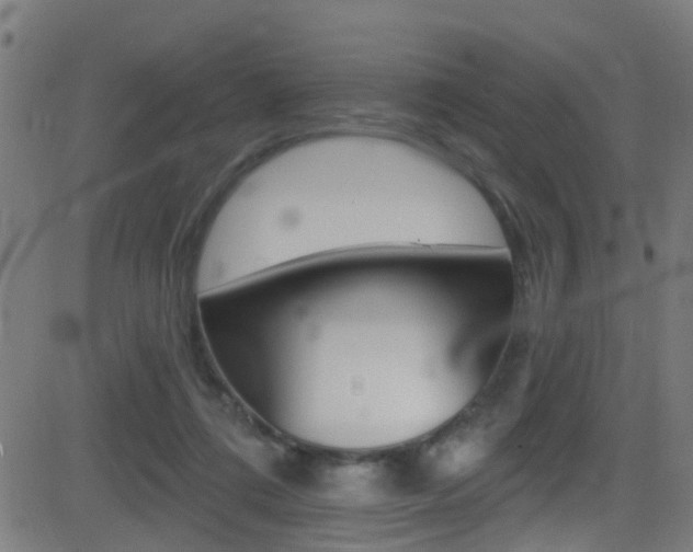 X0000081440312200701120951