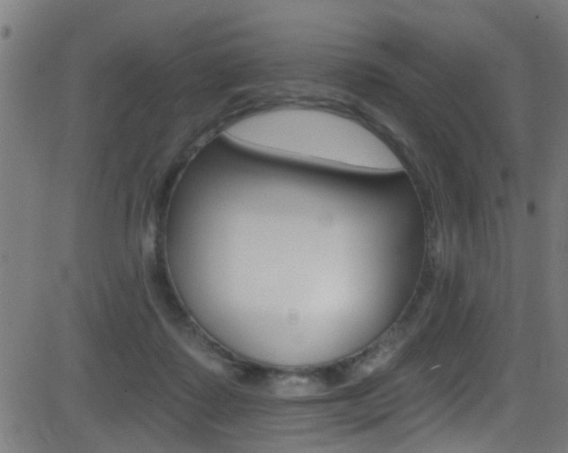 X0000081440315200701120951