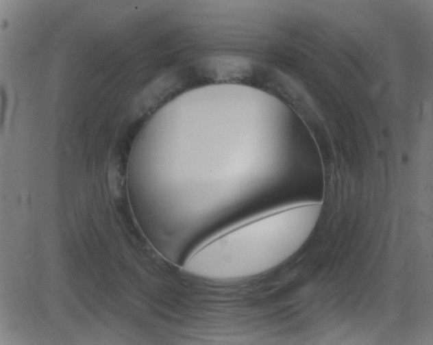 X0000081440316200701120951